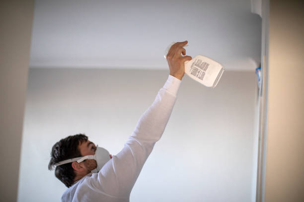 Best White Mold Remediation in Shinnston, WV