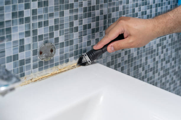Best Residential Mold Remediation in Shinnston, WV
